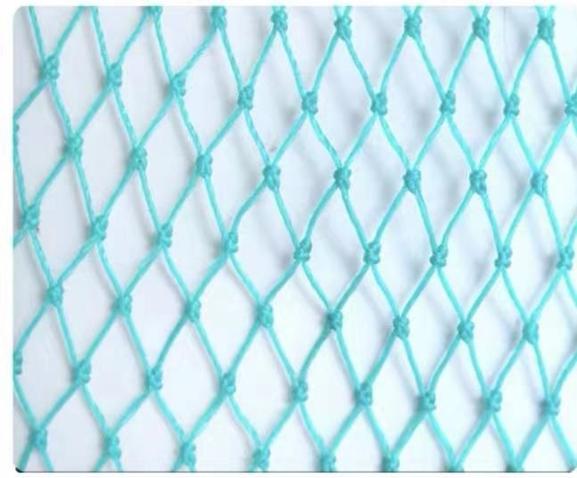 Slide Image Thumbnail